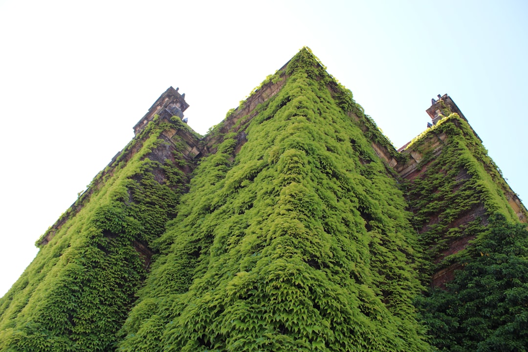 a-very-tall-building-covered-in-lots-of-green-plants-hz2n4du8jm4